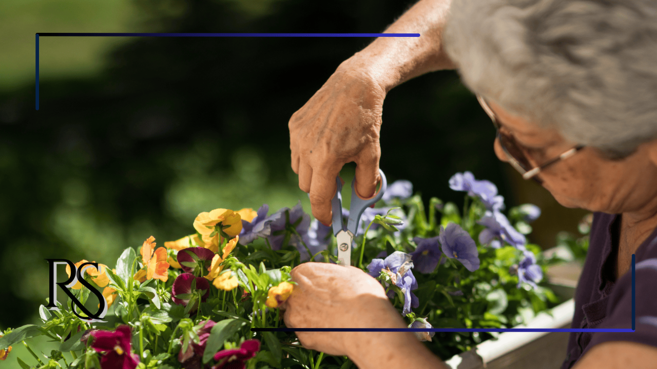 Aposentadoria por idade antes da reforma