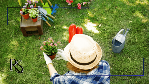 Aposentadoria por idade após a reforma